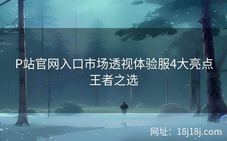 P站官网入口市场透视体验服4大亮点王者之选