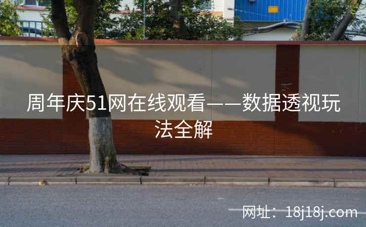 周年庆51网在线观看——数据透视玩法全解