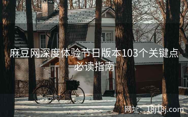 麻豆网深度体验节日版本103个关键点必读指南