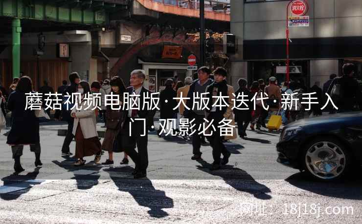 蘑菇视频电脑版·大版本迭代·新手入门·观影必备