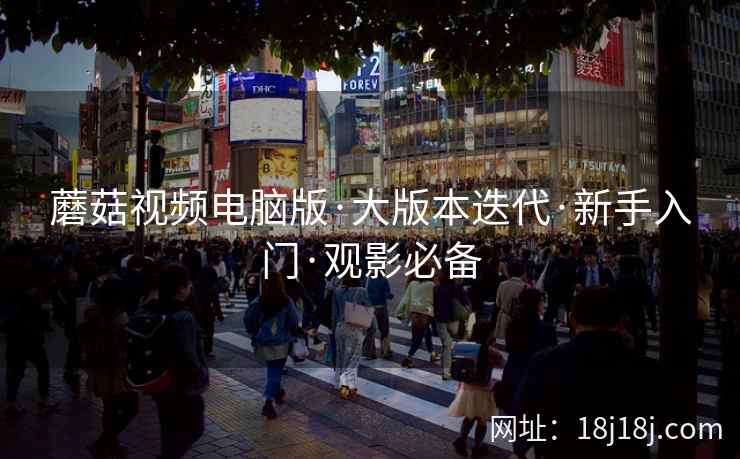 蘑菇视频电脑版·大版本迭代·新手入门·观影必备