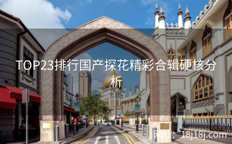 TOP23排行国产探花精彩合辑硬核分析