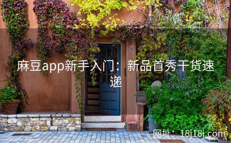 麻豆app新手入门：新品首秀干货速递