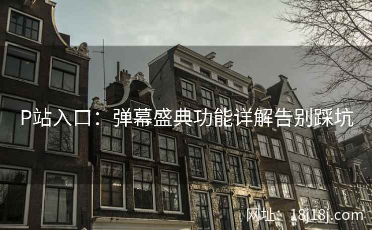 P站入口：弹幕盛典功能详解告别踩坑