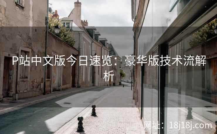 P站中文版今日速览：豪华版技术流解析