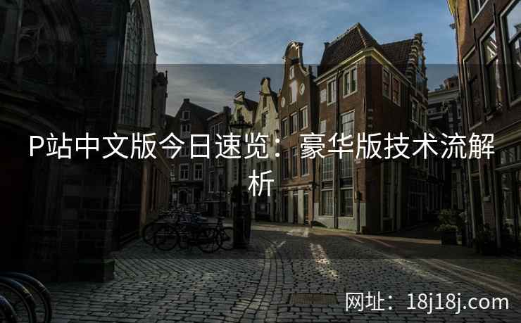 P站中文版今日速览：豪华版技术流解析