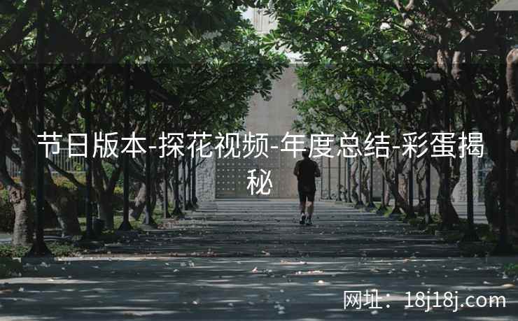 节日版本-探花视频-年度总结-彩蛋揭秘