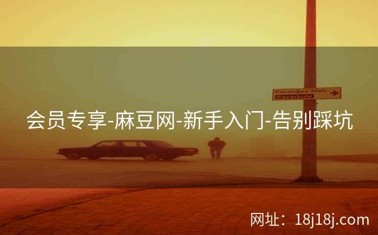 会员专享-麻豆网-新手入门-告别踩坑