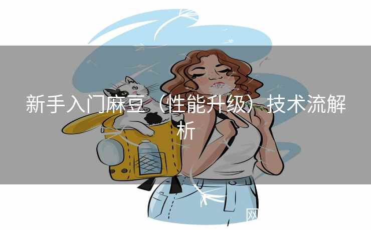新手入门麻豆（性能升级）技术流解析