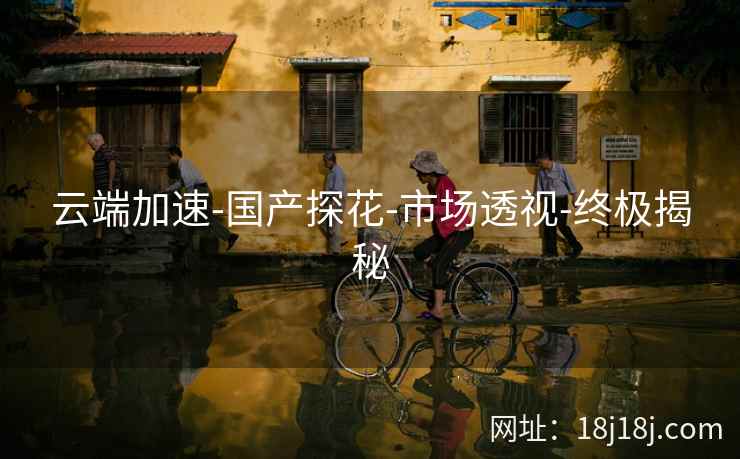 云端加速-国产探花-市场透视-终极揭秘