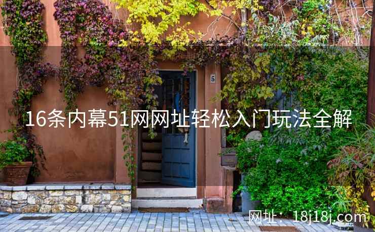 16条内幕51网网址轻松入门玩法全解