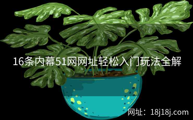 16条内幕51网网址轻松入门玩法全解