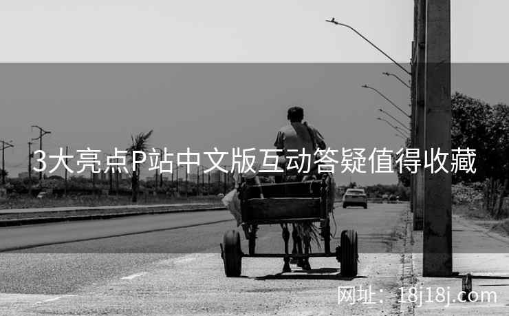 3大亮点P站中文版互动答疑值得收藏