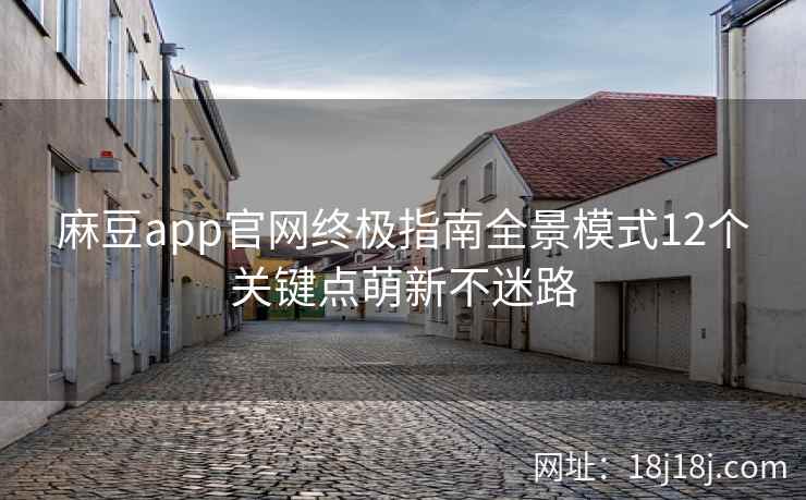 麻豆app官网终极指南全景模式12个关键点萌新不迷路