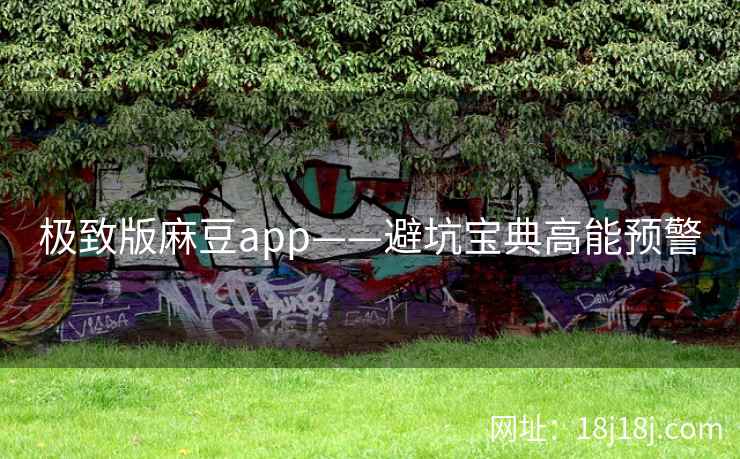 极致版麻豆app——避坑宝典高能预警