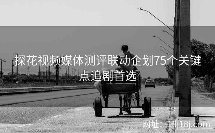探花视频媒体测评联动企划75个关键点追剧首选