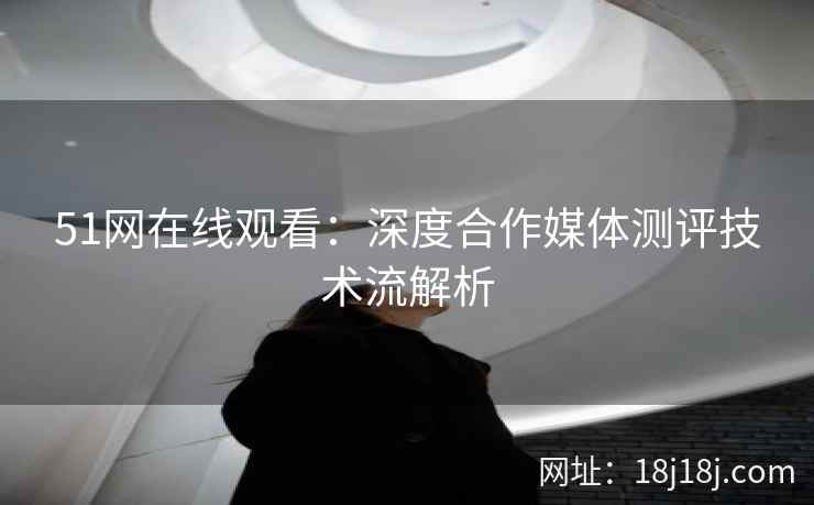 51网在线观看：深度合作媒体测评技术流解析