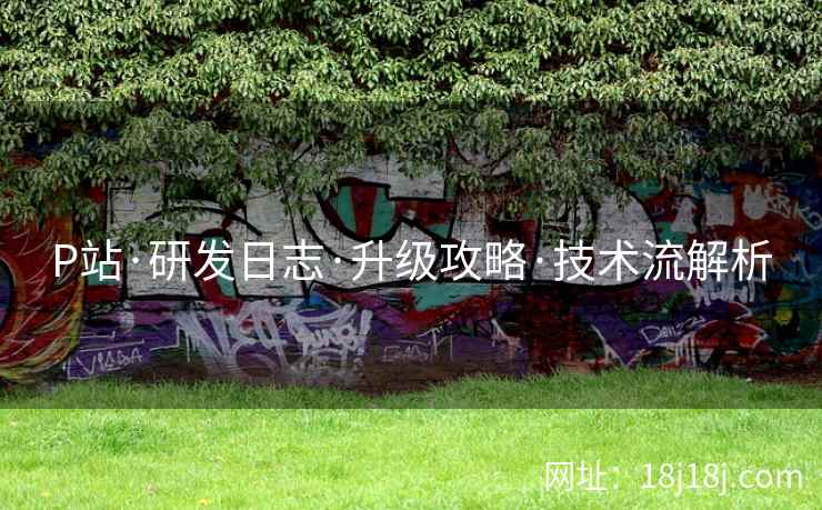 P站·研发日志·升级攻略·技术流解析