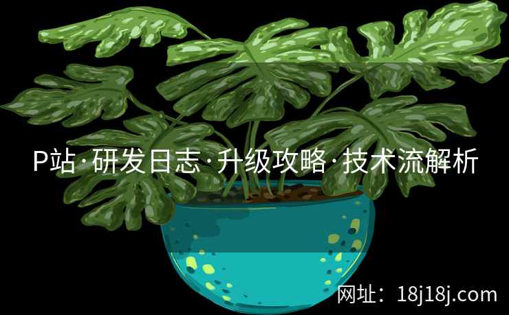 P站·研发日志·升级攻略·技术流解析